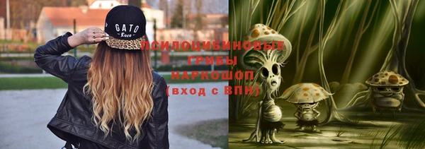 тгк Алексеевка