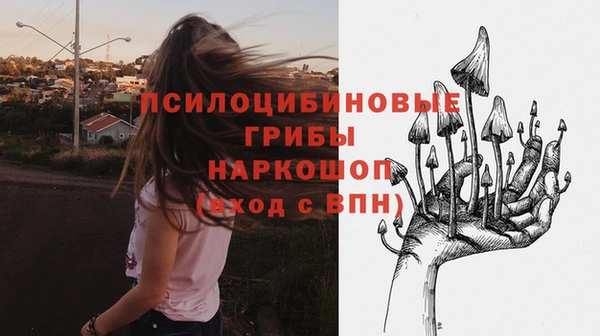 тгк Алексеевка