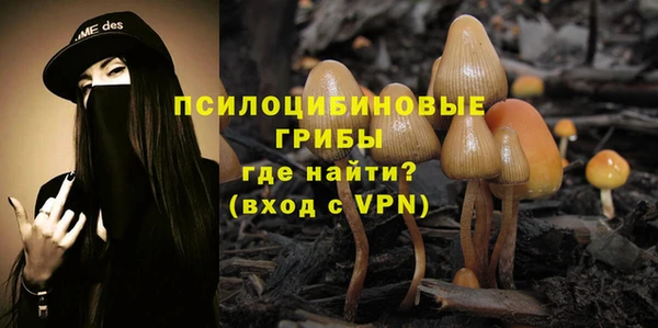 тгк Алексеевка
