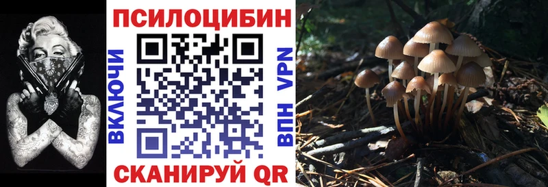 Псилоцибиновые грибы прущие грибы  наркотики  Палласовка 